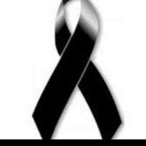 Meet your Posher, Eva